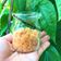 Cooksnap của Mẹ Chip (Thư Nguyễn) khi họ làm theo món Ăn dặm - Chà bông cá hồi