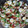 El cooksnap de Gloria Bueno cuando hizo Ensalada de lentejas.