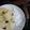 Cooksnap mamy_kitchen89 semasa beliau membuat Ubi Kayu Rebus.