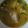 Cooksnap dari Venny Fristy untuk resep Soto kudus