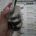 Cooksnap dari la untuk resep Oreo cheesecake lumer mudah dan murah