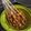 Cooksnap dari Joe Hanna Liong untuk resep Sate babi