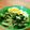 Cooksnap dari Ira Andini untuk resep Ca brokoli
