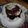 El cooksnap de Nancy cuando hizo Muffins de algarroba integrales!.