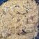 El cooksnap de Joana Gelabert cuando hizo Risotto de champiñones y gambas.