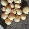 Cooksnap dari Monalica E. Wulandari untuk resep Cimol anti meletup