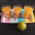 Sonal Gaurav Suthar's cooksnap of when they made ઓરેન્જ કેરેટ જ્યૂસ (Orange Carrot Juice Recipe In Gujarati).