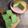 Cooksnap dari Eko Lilis untuk resep 12. Bolu Pandan