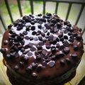 Urvi Buddhadev's cooksnap of when they made ચોકલેટ વ્હીટ કેક(Chocolate Wheat cake Recipe in Gujarati).