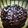 Urvi Buddhadev's cooksnap of when they made ચોકલેટ વ્હીટ કેક(Chocolate Wheat cake Recipe in Gujarati).