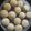 El cooksnap de María cuando hizo Alfajores de Maizena con dulce de leche a la isma.