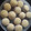 El cooksnap de María cuando hizo Alfajores de Maizena con dulce de leche a la isma.