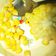 Cooksnap dari Rindangi Putri untuk resep Jagung-jagung Rebus