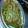 El cooksnap de Maribel Sentana Cremades cuando hizo Corvina al horno.