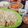 Cooksnap dari Bekal MamiMo untuk resep Nasi goreng hongkong