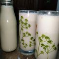 Abhilasha Singh का कुकस्नैप जब उन्होंने मस्क मेलन शेक (muskmelon shake recipe in Hindi) बनाया था।
