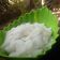 Cooksnap dari Mom's juna untuk resep Kelapa muda kw