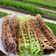 Cooksnap dari Suhaeni S untuk resep 449. Kue Sarang Laba-Laba