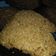 Pamela 파멜라's cooksnap of when they made Polvorones de Gofio.