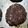 El cooksnap de Lou Tom cuando hizo Galletitas de avena, cacao y coco.