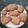 El cooksnap de pauli-chef cuando hizo Galletitas de jengibre.