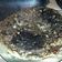 El cooksnap de gmignoni cuando hizo Tortilla de acelga.