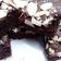 Cooksnap dari Paramita untuk resep SUPER FUDGY BROWNIE (a la MARTHA STEWART)