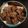 Ananthi @ Crazy Cookie's cooksnap of when they made எள் சிக்கி (Ellu chikki recipe in tamil).