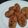 Cooksnap dari Enni Faizah untuk resep Rempah Tempe