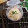 Cooksnap dari Oknisa Carolina untuk resep Singkong thailand gula merah