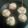 El cooksnap de Amaia Tomasena cuando hizo Champiñones rellenos.