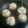 El cooksnap de Amaia Tomasena cuando hizo Champiñones rellenos.