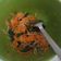 Cooksnap dari Kurnia Kusumandari untuk resep Gudhangan Pedas Jawa (Urap Sayur)