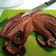 El cooksnap de mjose.sanma cuando hizo Cómo cocer el pulpo.