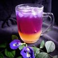 Cooksnap dari Herliani ✅ untuk resep Es Lemon Cui & Bunga Telang