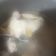 Cooksnap dari Prastita Kusuma Wardani untuk resep Pangsit rebus untuk mie ayam