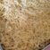 Cooksnap dari Putri Ymc untuk resep Macaroni Schotel Panggang