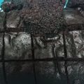 Cooksnap Dunia Hanya Sementara Fy semasa beliau membuat Kek Coklat Moist Sukatan Cawan.