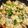 ning0627 的 鮮蔬豆腐煲 cooksnap