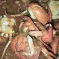Cooksnap dari Nindi Pku untuk resep Kepiting Saus Padang