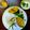 Sinchita Pal Chatterjee's cooksnap of when they made Doi Ilish (Hilsa with curd).