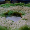 Cooksnap dari Maya Sabrina Avail untuk resep Bolu Pandan KETO