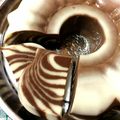 Cooksnap dari Tatiara untuk resep Puding Zebra Ajaran Mertua