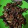 Cooksnap dari Diana Maulina Kramadibrata untuk resep Tumis mercon ati ampela ayam
