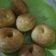 Cooksnap dari Ita Karina untuk resep Donat Metode Autolisis