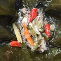 Cooksnap dari Nazzlia Fazia Nurania untuk resep 122. Garang Asem Ayam