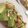 El cooksnap de Marieta cuando hizo Tostadas de aguacate y kiwi con queso philadelphia.