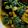 Dia Mitra's cooksnap of when they made পালং শাকের ঘন্ট (palak saager ghonto recipe in bengali).