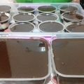 Cooksnap dari EngelinaS untuk resep Dessert box simple (no bake)
