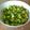 El cooksnap de Bebe Bichito cuando hizo Salpicón de verduras.